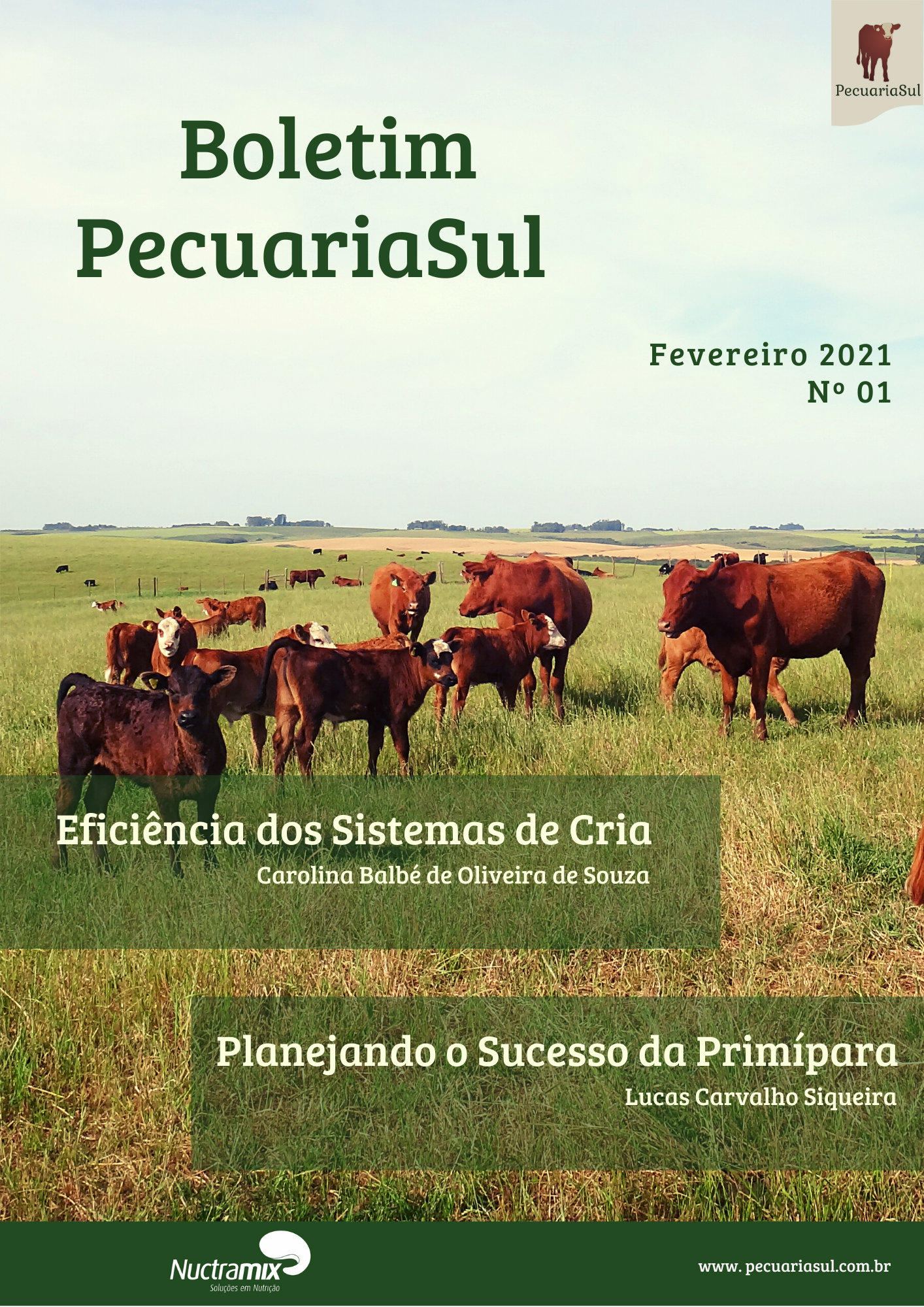 boletim pecuaria sul